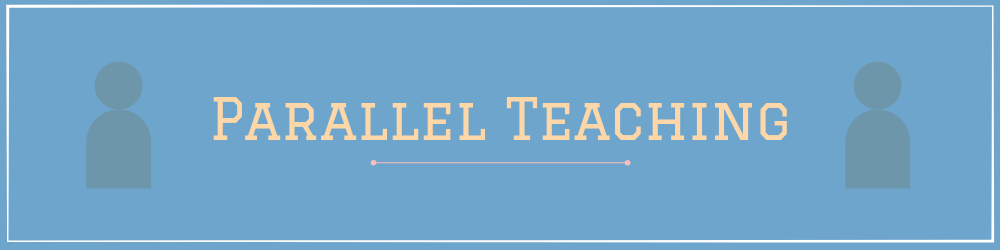 02-parallel-teaching-coteaching