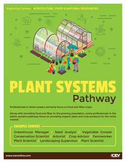plant systems pathway
