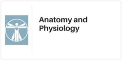catalog-anatomy-physiology