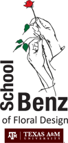 2019_Benz-Logo