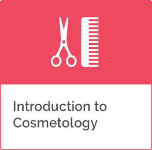 Introduction_to_Cosmetology