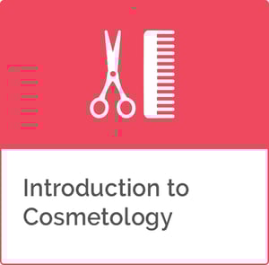 Introduction_to_Cosmetology