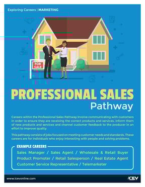 Professional_Sales