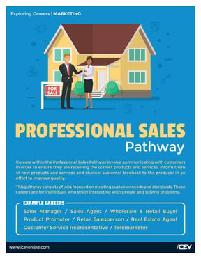 Professional_Sales