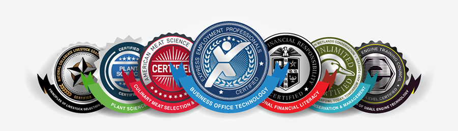Three Reasons Why You Should Consider Digital Badges for Professional Development