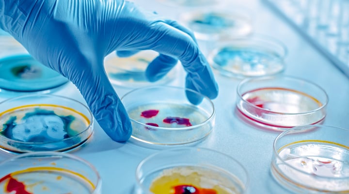 MedicalMicrobiology-1