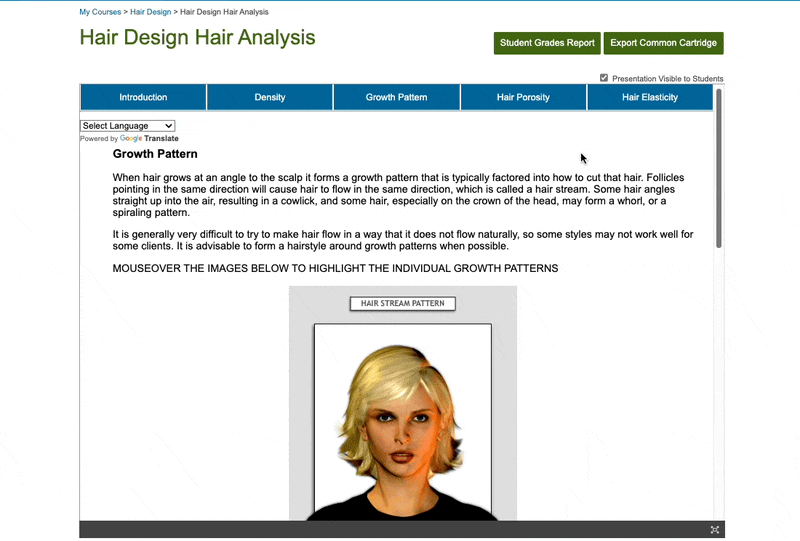 InteractiveActivity_Cosmetology