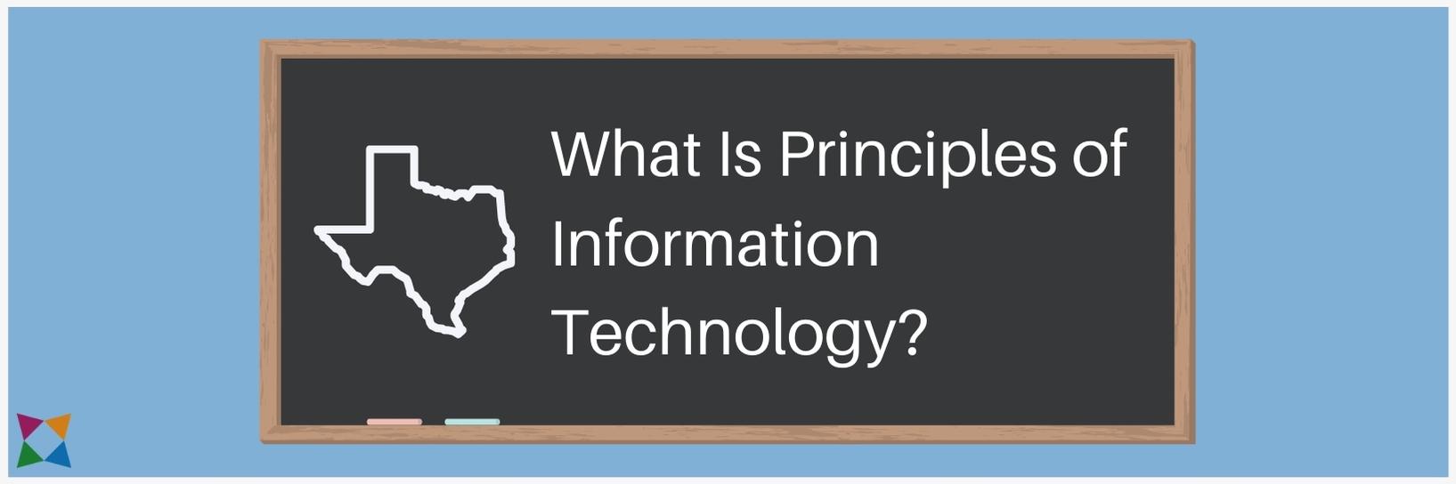 What Is Principles of Information Technology?