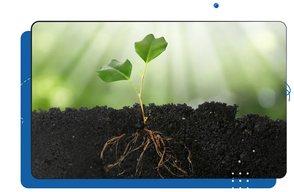iCEVCourse_AdvancedPlantandSoilScience iCEVCourse_AdvancedPlantandSoilScience