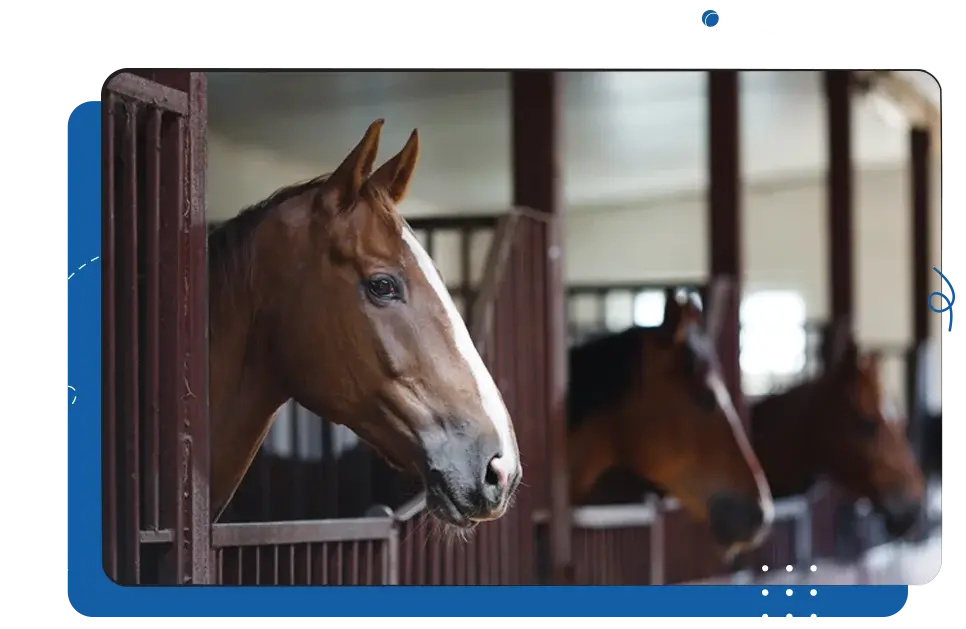 iCEVCourses_EquineScience