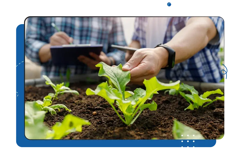 iCEVCourses_FoodTechnologySafety
