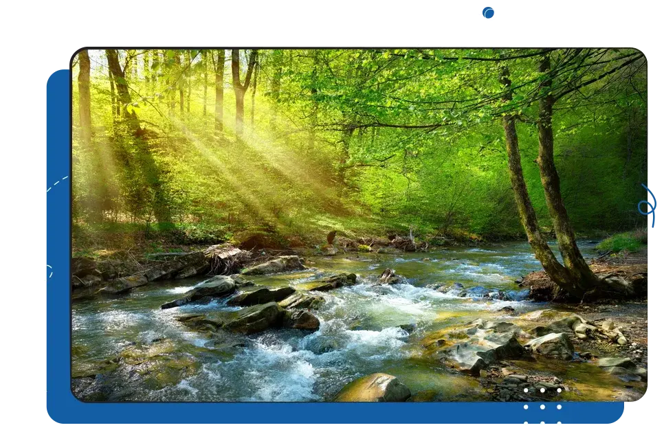 iCEVCourses_ForestryWoodlandEcosystem