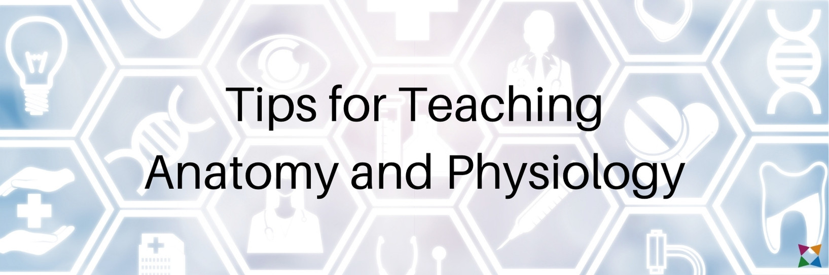 5 Top Tips For Teaching Anatomy and Physiology